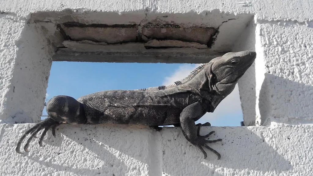 Bed and Breakfast Casa Blanca Boutique & Organic Cancún Bed & Breakfast