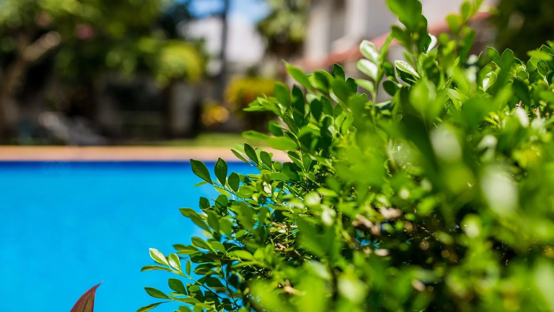 Casa Blanca Boutique & Organic Bed & Breakfast Cancun