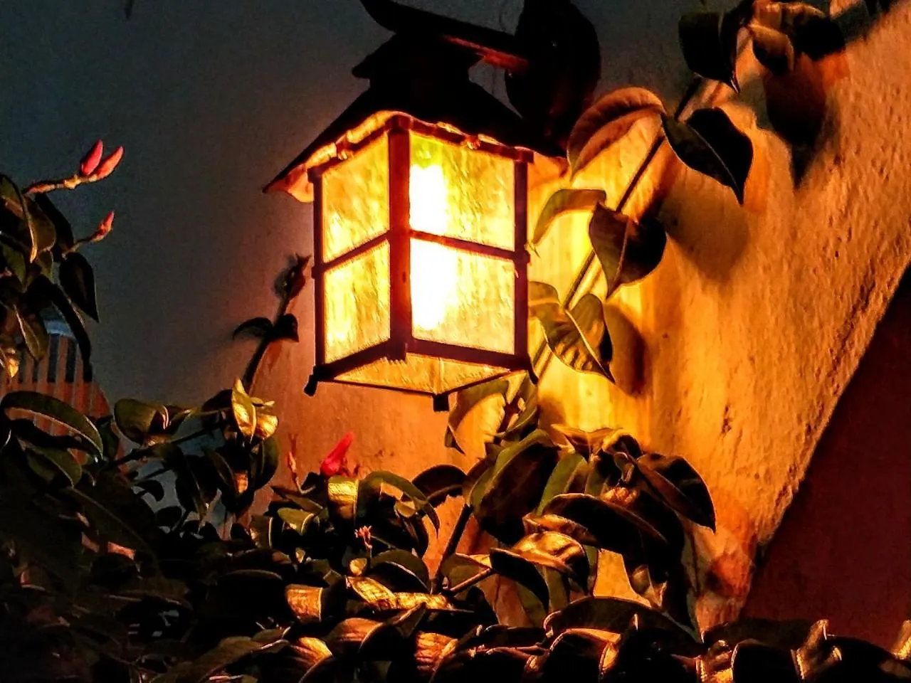 Bed and Breakfast Casa Blanca Boutique & Organic Cancún 3*,  Mexiko